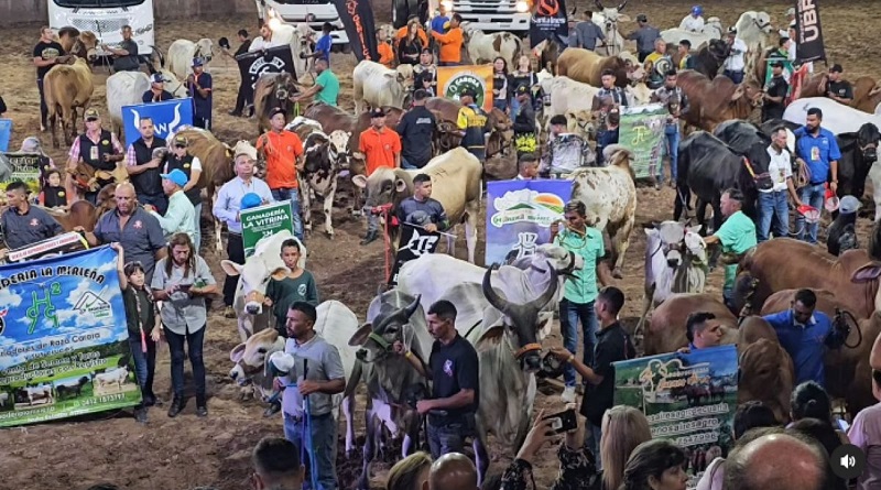 Aumentó en 30% producción de carne en Venezuela